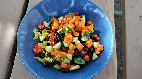 Low Fat Diets do not Curb Heart Disease