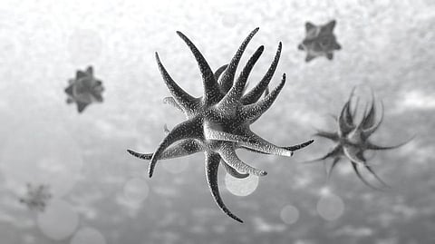 Microbes May Be Stirring Up Anxiety And Depression In Obese People