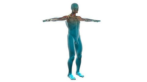 Nerve Cell Cancer Survivors, At Higher Risk Of Developing Depression