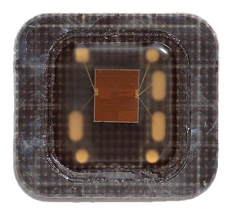 Affordable IoT Devices can be Developed by Smart Microchips