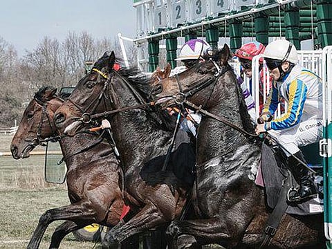 Why the Grand National is Such a Major Sporting Event?