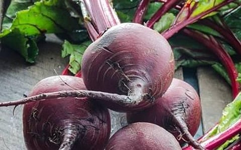 Beetroot compound may prevent Alzheimer’s