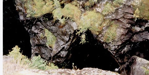 Ancient Human Remains, Ice Age Animal Bones Found in Giant Mexican Cave