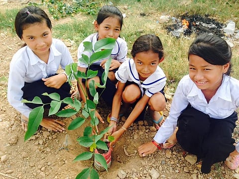Van Mahotsav: The Festival Of Plantation Drive In India