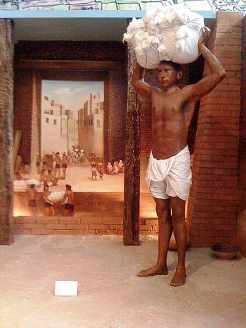 9 Must-Know Facts About Indus Valley Civilization