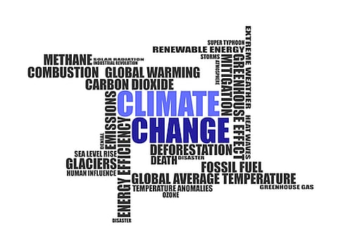 Despite ‘Donald Trump effect’, global momentum gained on climate change