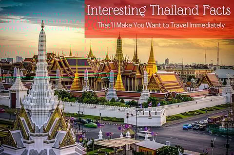 Interesting Thailand Facts That’ll Make You Want to Travel Immediately