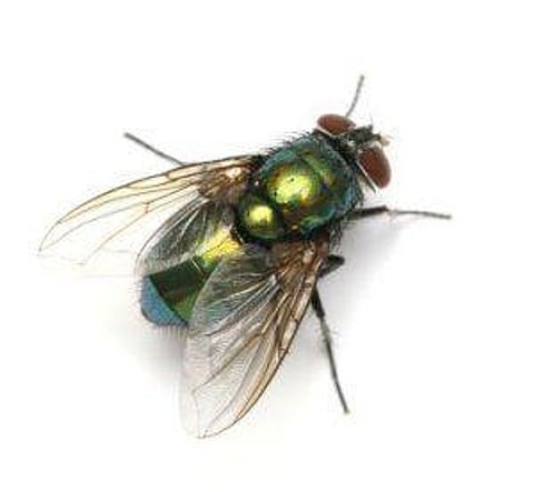 Sudanese Refugee Freed by Congressman of US, Finds New Life in US with Family