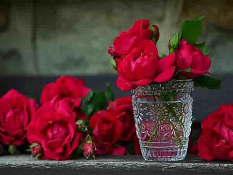 Benefits of Rose water: Hydrates Skin, Treat Acne & De-Stress