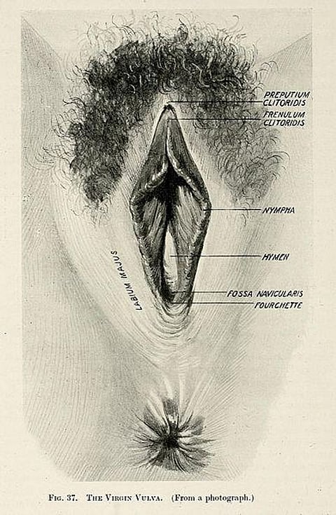 Las Vegas Massacre: Police Identifies the Gunman behind Mass Shooting