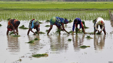 Decoding the Indian Agrarian Crisis and Fake Farmers Facade