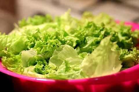 6 Lettuce Advantages Which are Important for Your Health