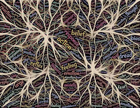 Do You Only Experience Happiness, Sadness, Anger, Surprise, Fear and Disgust? Not Anymore! Researchers Discover 27 Different States of Human Emotions