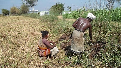 Secluded Irula Snake Catcher Tribe of India will Now have their Own ‘Fantasy Homes’