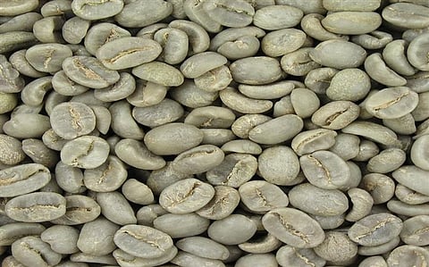 Green Coffee: Say Hello to a New Member in Your Fitness and Weight Loss Regime!
