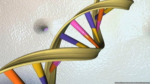 Scientists in US Successfully Edit Genes of Human Embryos in the First Attempt