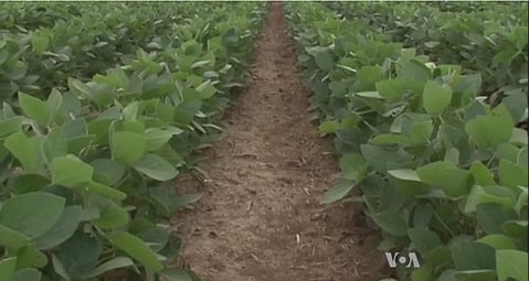Saving Farms from Slow Death called “Erosion” : Farmers believe Healthy Soils Yield Healthy Profits