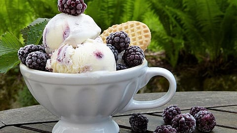 What’s the Difference between an Ice cream and a Frozen Dessert? Find out Here!