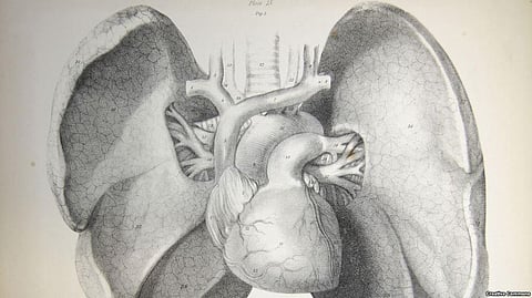 India Major Contributor for 16 Million Fatal Lung Infection in 2015: Indian Origin Researcher