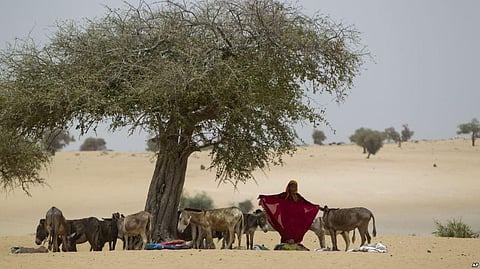Sahel: Climate Change May Turn Africa’s Most Dried Region Green, say Researchers