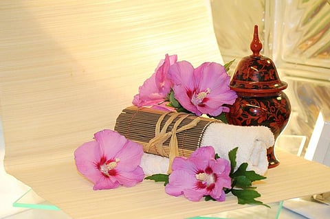 India Seeks Recognition of Ayurveda in Singapore As Traditional Medicine