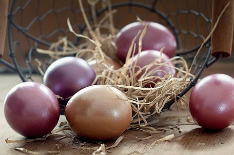 Mystery Unlocked: Bird Egg Shapes and Flight Ability are co-related, says Study