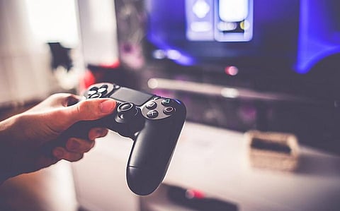 Unlock Animal Visions, Camouflage Secrets through Video Games