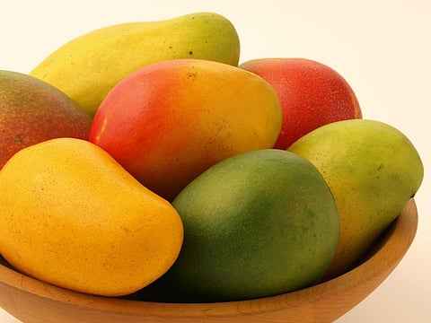 Beat the Heat! Top 12 Most Famous Varieties of Indian Mangoes