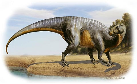 Scientists in Japan unearth 72-million-year-old Fossil of the largest complete Dinosaur Skeleton