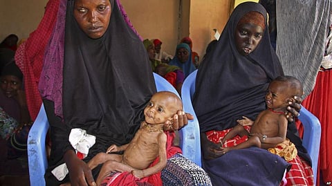 One Third of Food Produced in the World is Thrown Away: 800 Million people are hungry in the World