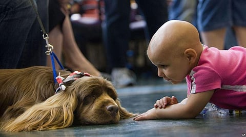 Study: Better Treatment Strategies for Pediatric Cancers helping Survivors Live Longer