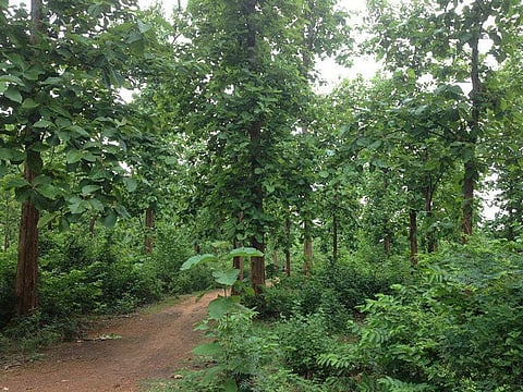 Central Government declares part of Odisha’s Balukhanda-Konark Wildlife Sanctuary as eco-sensitive zone (ESZ)