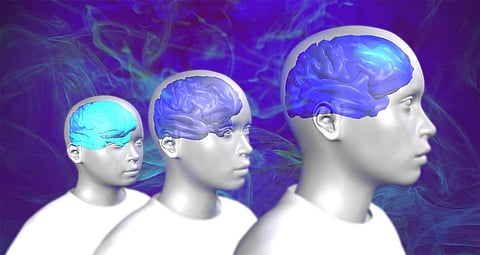 Grey Matter Volume generally Decrease with Age, its density actually Increases during Adolescence: Study