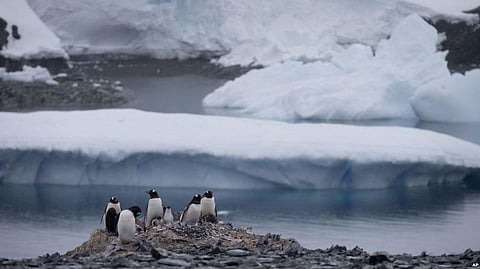 India to prepare a Law to safeguard its interest in Antarctica