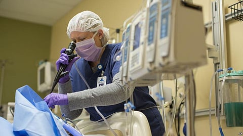 Scientists have grown Human Cells inside Pig Embryos with goal of growing Livers, other Human Organs in Animals