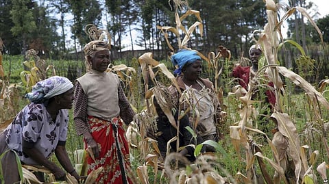 Kenyan Women Step Up Fight for Land Destined for Coal Mine as 30,000 households likely to be affected