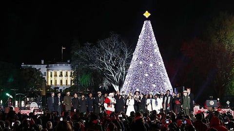 Visitors to National Christmas Tree in Washington strolled around carefully manicured paths designed to show off Traditional cone-shaped Evergreen Tree