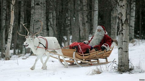 Santa in Trouble? Reindeer are Shrinking on an Arctic Island due to Climate Change