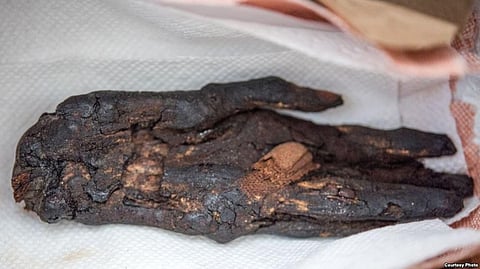 Mummy’s Hand disguised as a Science Fiction Movie Prop is one of several Artifacts US Customs Officials returned to Egypt