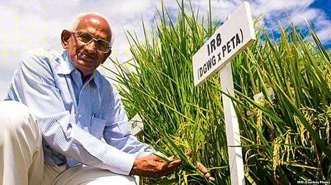 India and International Rice Research Institute in Philippines celebrate 50th Anniversary of what came to be known as Miracle Rice