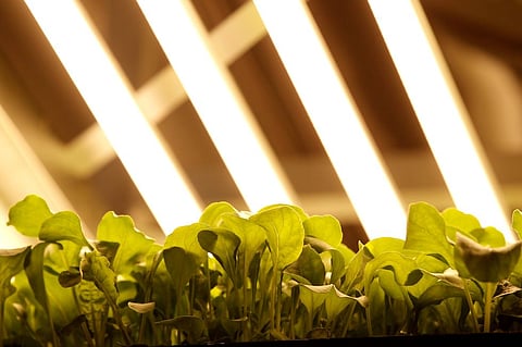 Campaign “WASH” : National Religious and Spiritual Leaders Join Hands to Achieve Cleaner India