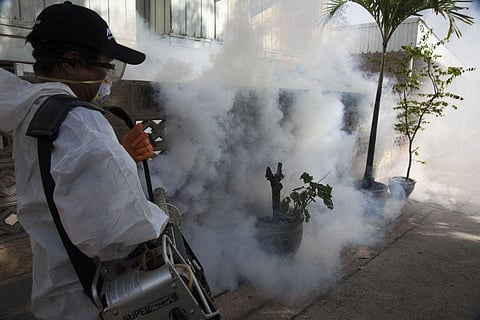 Vaccinating against Dengue Fever likely to increase Zika outbreaks, warn Researchers