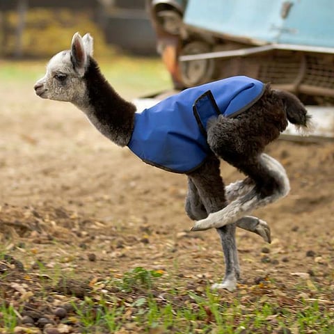 Get rid of 10 Misconceptions about Yoga before you plan to take Yoga Classes!