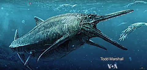 About 170 Million Years Ago, Sea Monster from the Dinosaur Era Swam the Oceans