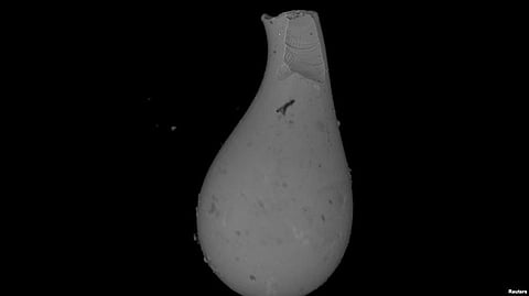 Comet May Have Hit Earth 56 Million Years Ago, Triggered warm, ice-free period on Earth: Scientists