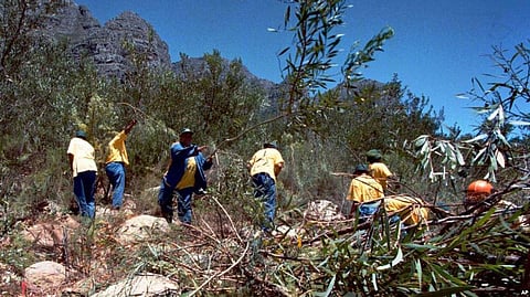 Hindu Centre of Virginia to organise 35th ‘Festival of India’ to celebrate and Promote Indian Culture and Festivals