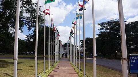 TRIBILS students organize fest to promote Pali Language among Youngsters