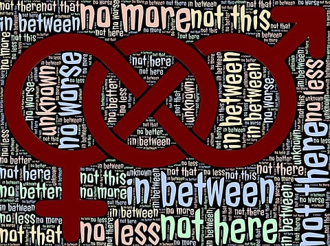 Miss Taalin Abu Hana: an Arab Christian set to represent Israel at biggest trans beauty pageant called Miss Trans Star 2016