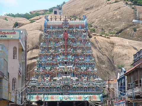 Thousands Of Dead Fish at Subramaniaswamy Temple Tank in Tamil Nadu