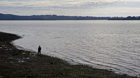 Microscopic Mites known as Chiggers cause Deadly Scrub Typhus, kill 140,000 people a year in Chile